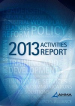2013 AMMA Activities Report